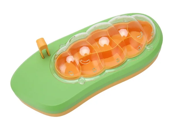 Caja de Cria de Gusanos Para Niños